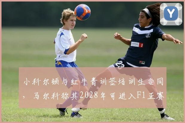 小科尔顿与红牛青训签培训生合同,马尔科称其2028年可进入F1正赛席位争夺